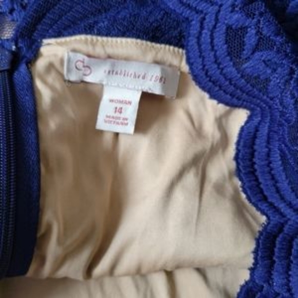 NWOT Dress Barn Blue 3/4 Sleeve Lined Lace Overlay Scalloped Blue Nude Dress 14 - Picture 7 of 10
